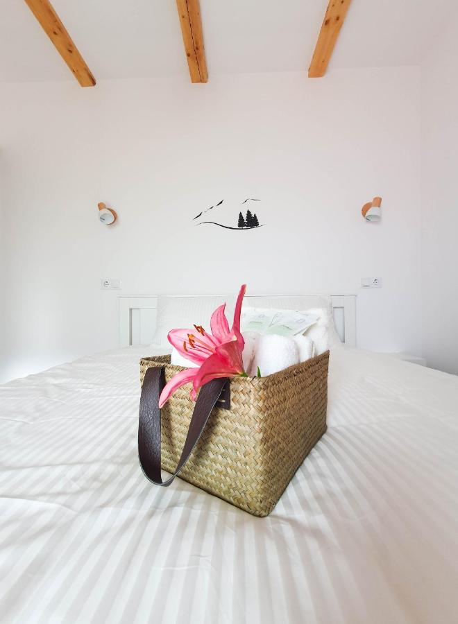 Hotel Domeniul Acasa In Vadu Izei Maramu Zewnętrze zdjęcie