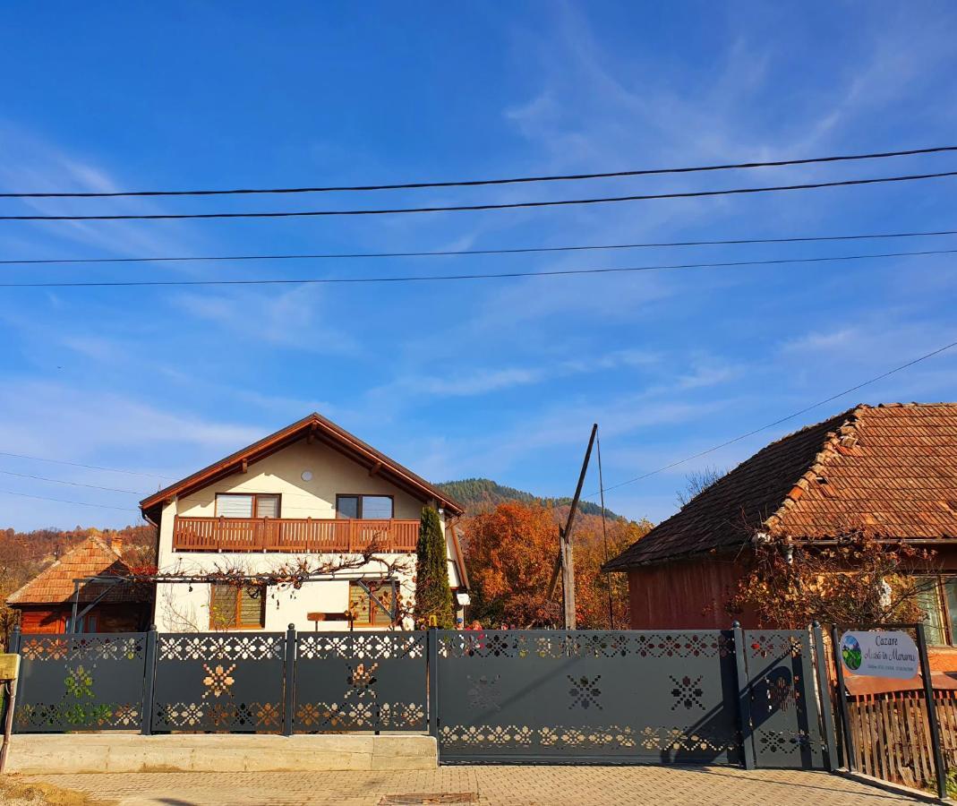 Hotel Domeniul Acasa In Vadu Izei Maramu Zewnętrze zdjęcie